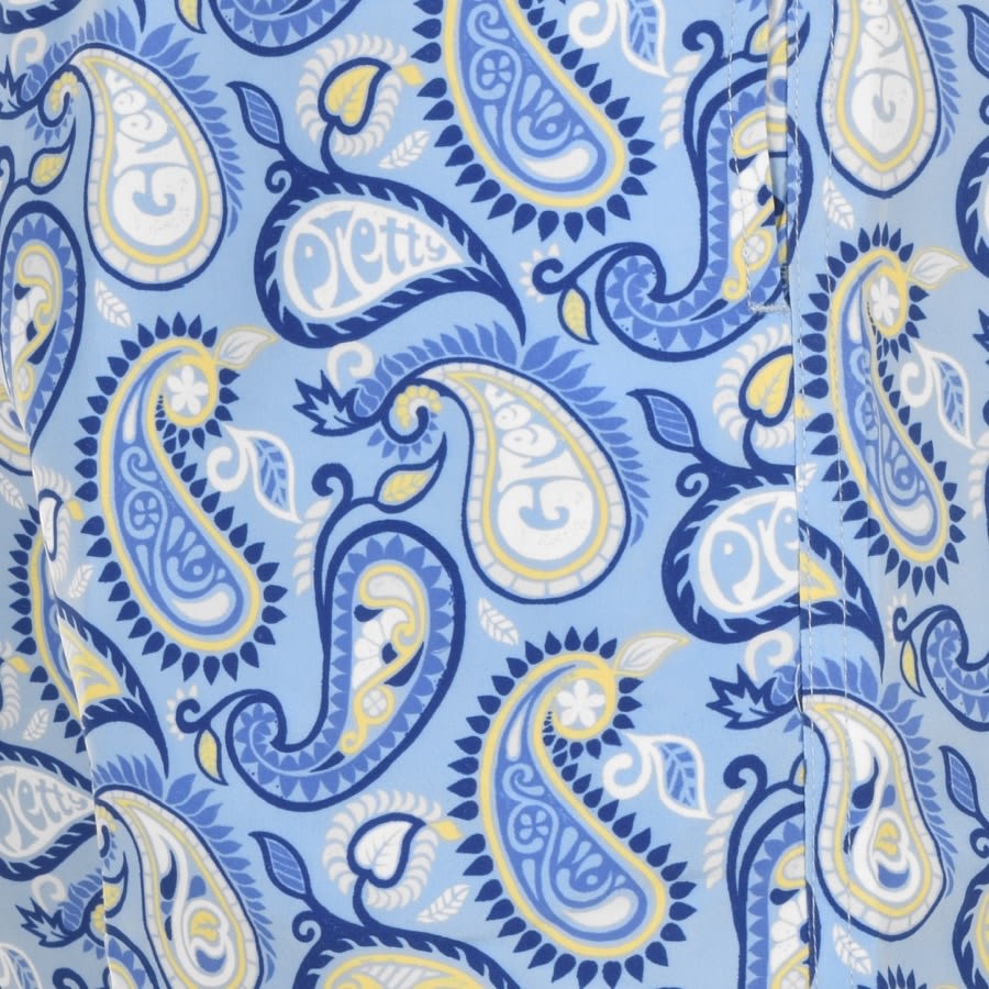 Alternative Image for ProductPretty Green Paisley Print Swim Shorts Blue3