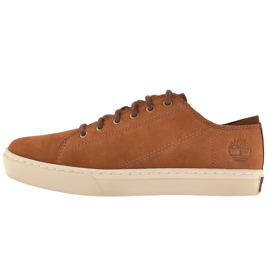 timberland tan trainers