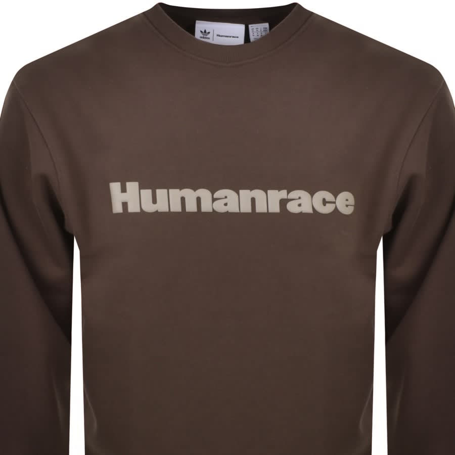 Alternative Image for ProductAdidas X Pharrell Williams Sweatshirt Brown2