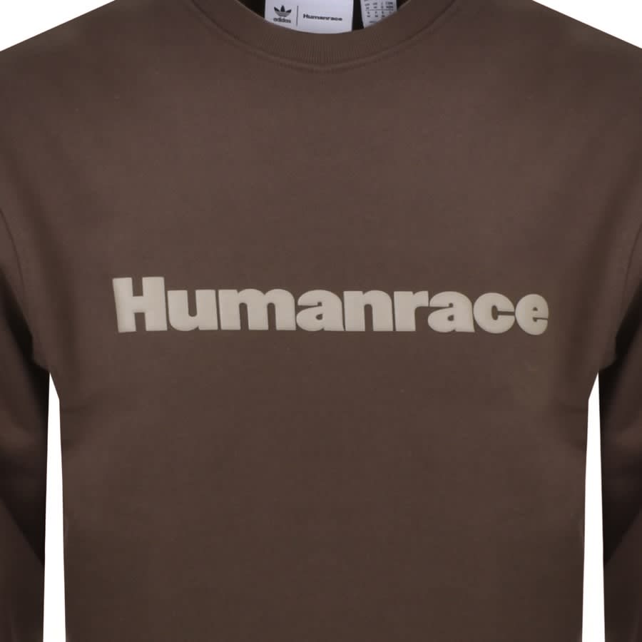 Alternative Image for ProductAdidas X Pharrell Williams Sweatshirt Brown3
