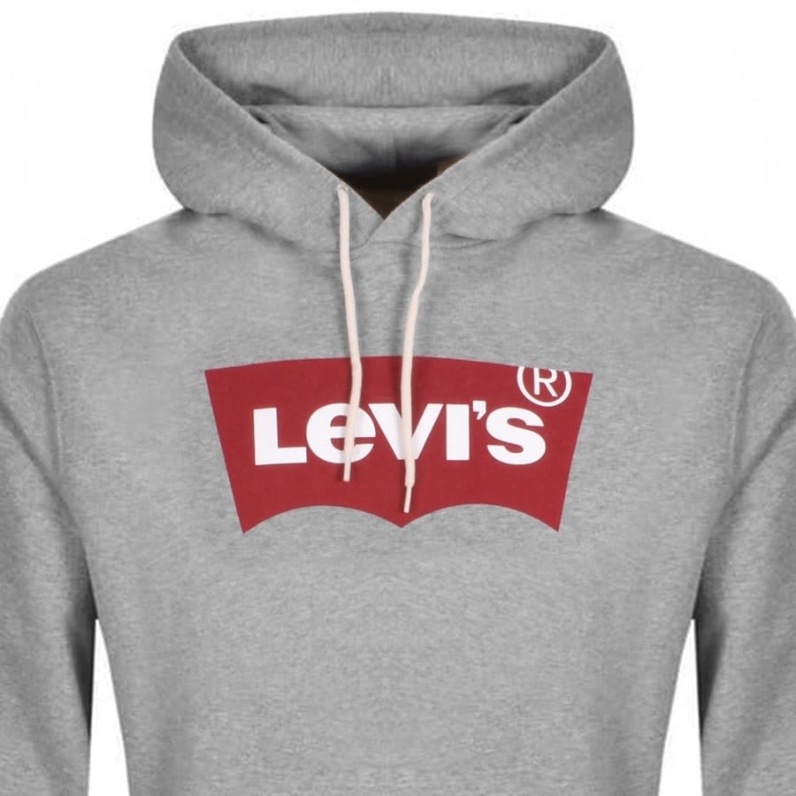 Alternative Image for ProductLevis Photo Logo Sport Hoodie Grey2