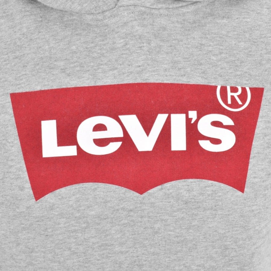 Alternative Image for ProductLevis Photo Logo Sport Hoodie Grey3