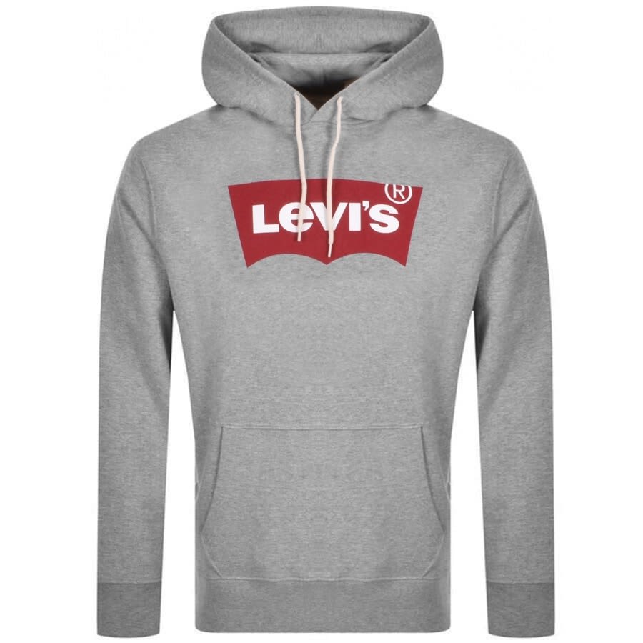 Alternative Image for ProductLevis Photo Logo Sport Hoodie Grey1