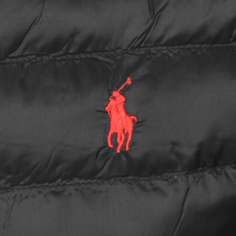 Alternative Image for ProductRalph Lauren Padded Jacket Black3