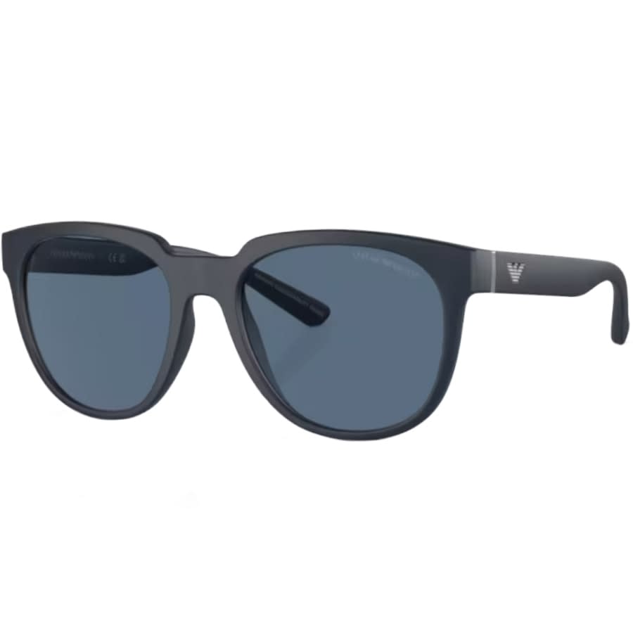 Emporio Armani 0EA4205 Sunglasses Blue | Mainline Menswear