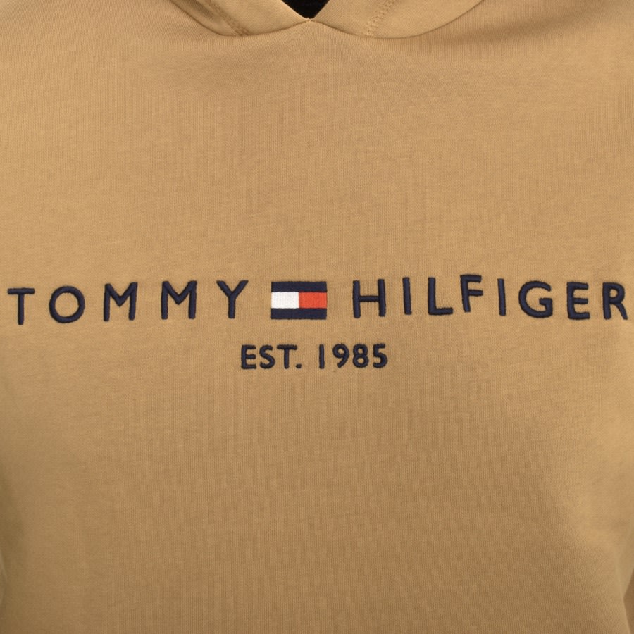 Khaki tommy hilfiger sales hoodie