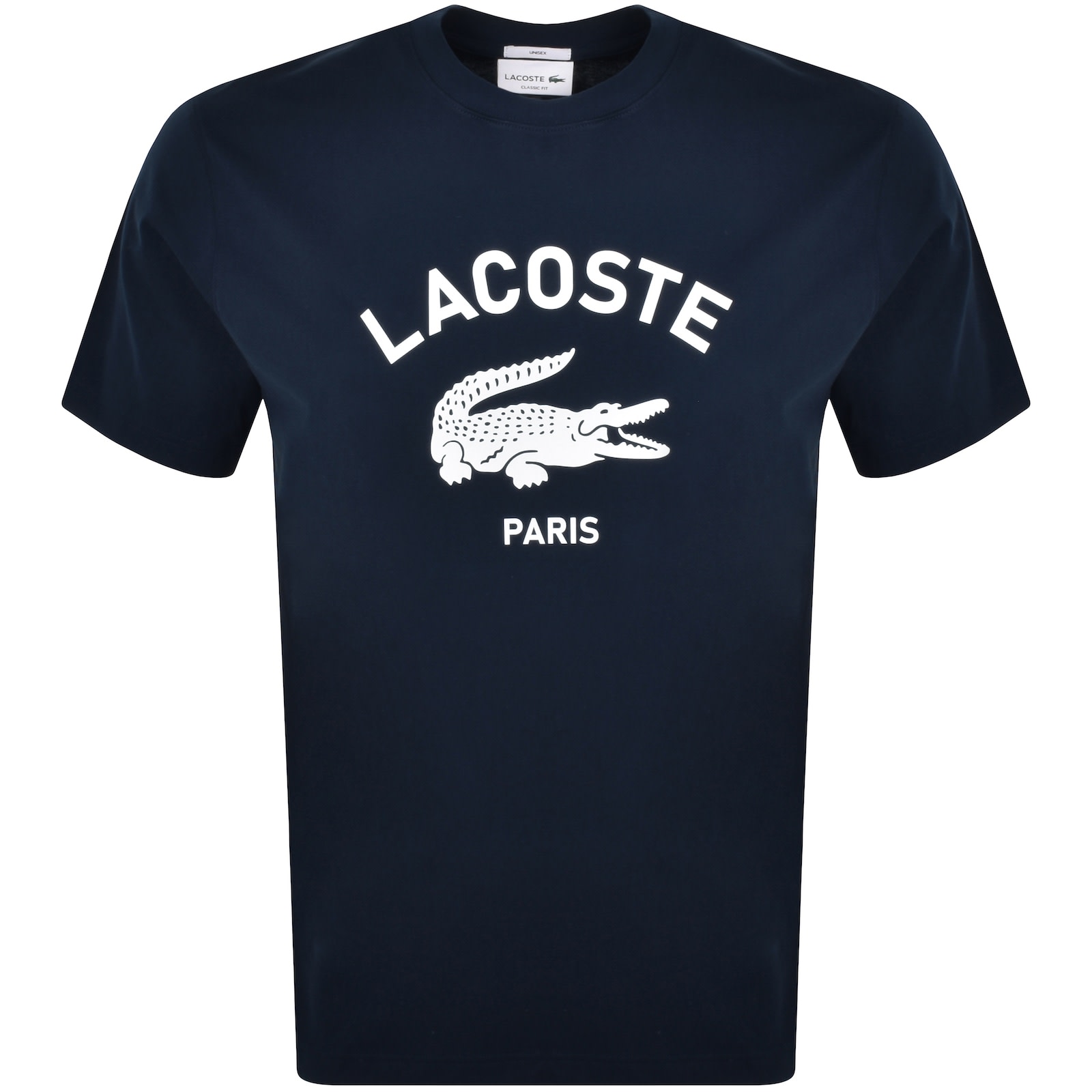 Tshirt lacoste gris 2025