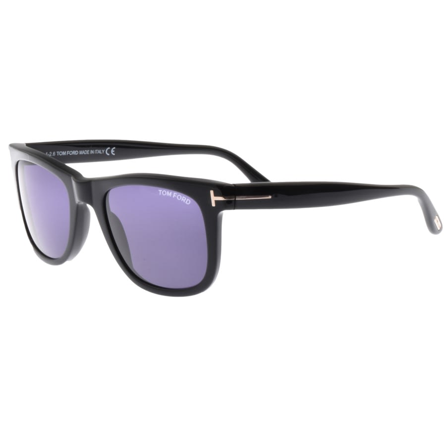 Alternative Image for ProductTom Ford Leo Sunglasses Black1