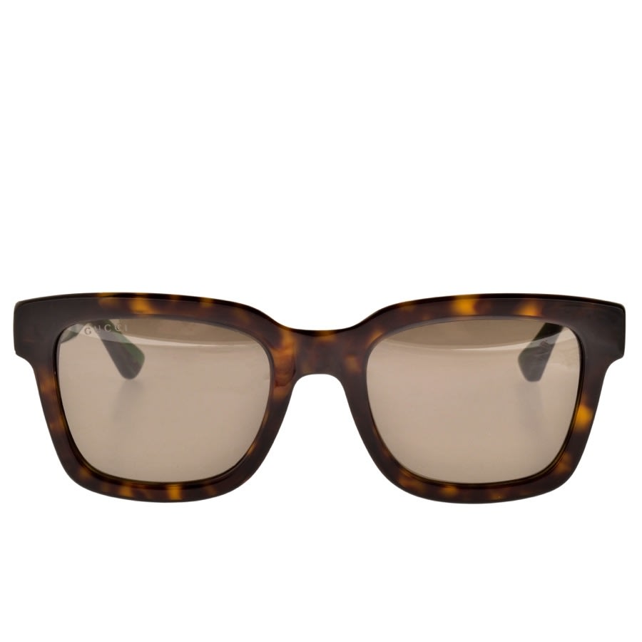 Alternative Image for ProductGucci GG0001S Sunglasses Brown2