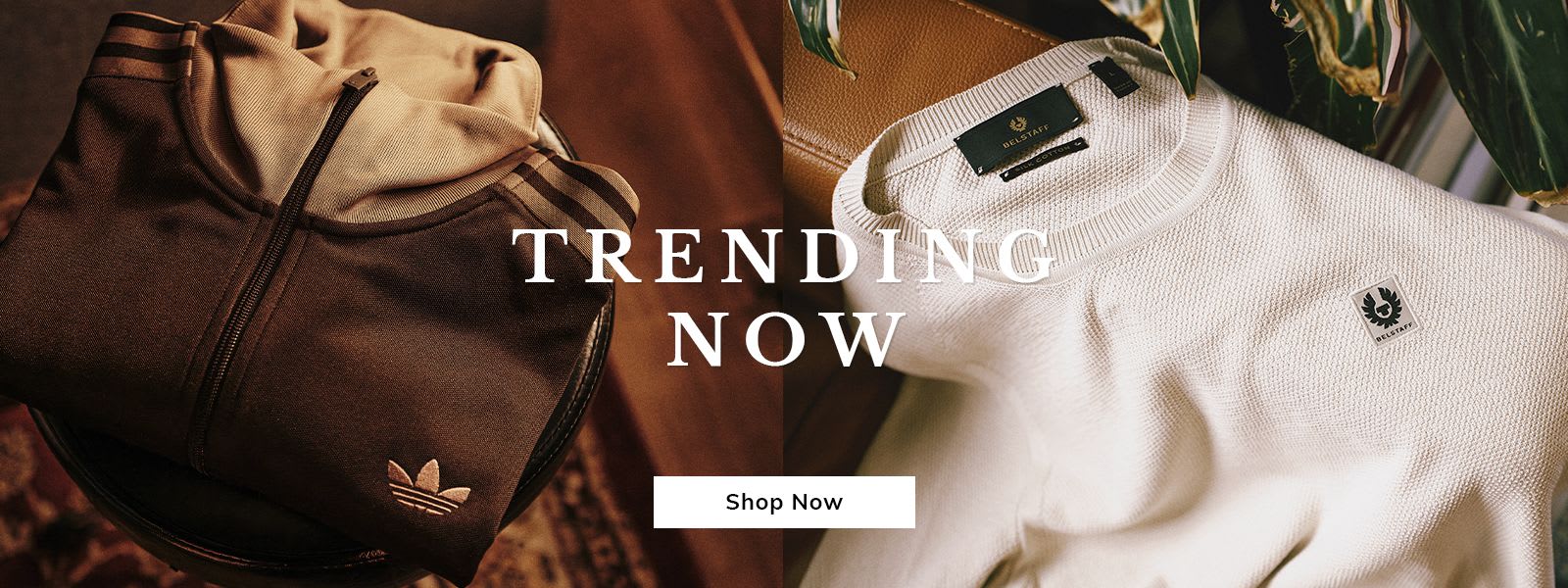 Bestsellers - Shop Now