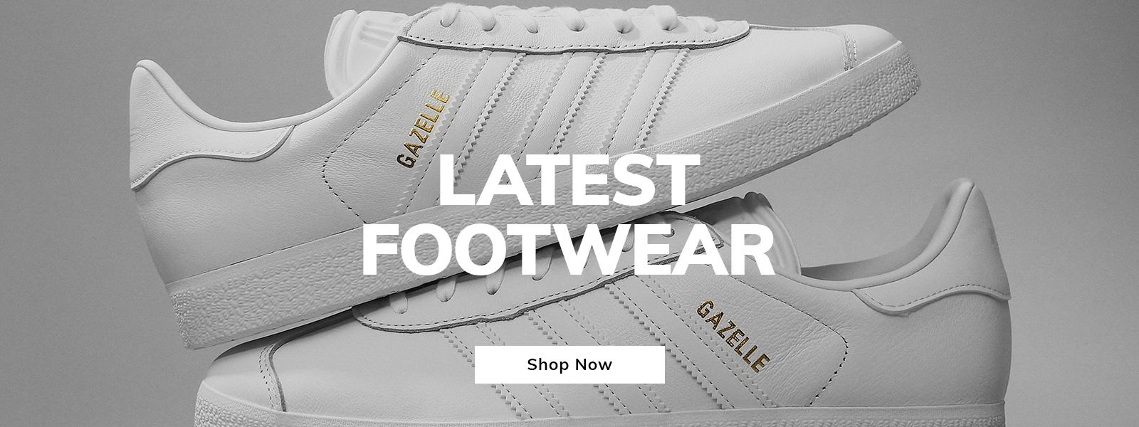 Browse the Latest Trainers