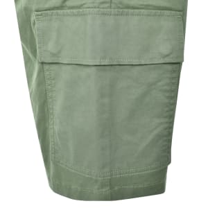 Image number 4 for Tommy Jeans Scanton Shorts Green