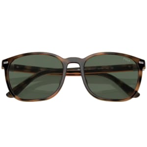 Image number 5 for Ralph Lauren 4208U Sunglasses Brown