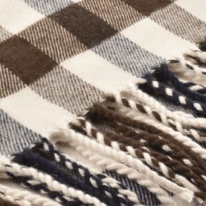Image number 4 for Aquascutum Club Check Scarf Beige