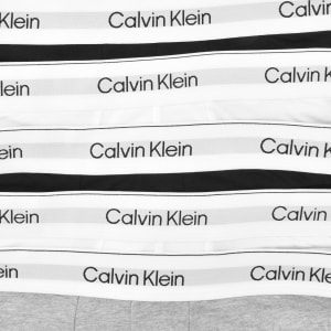 Image number 5 for Calvin Klein Underwear 5 Pack Boxer Briefs