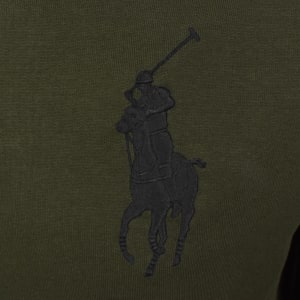 Image number 4 for Ralph Lauren Embroidered Logo Hoodie Green