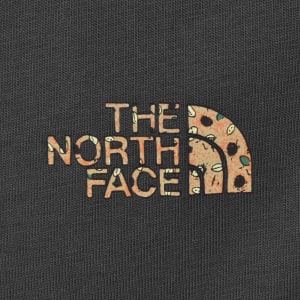 Image number 4 for The North Face Snack T Shirt Grey
