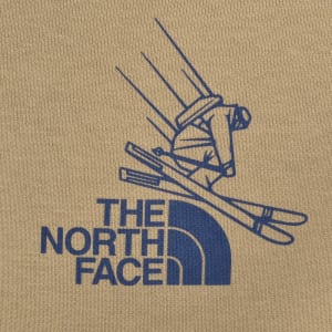 Image number 4 for The North Face Mountain Celebration Hoodie Beige