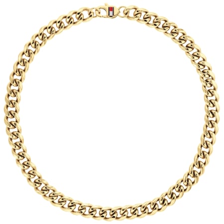Product Image for Tommy Hilfiger Wild Necklace Gold
