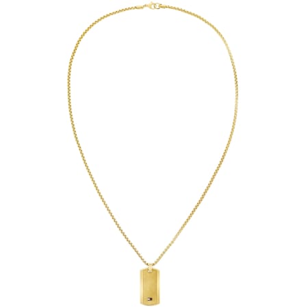 Product Image for Tommy Hilfiger Jameson Necklace Gold