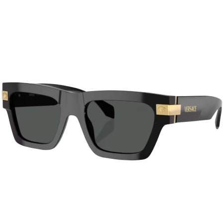 Product Image for Versace 0VE4464 Sunglasses Black