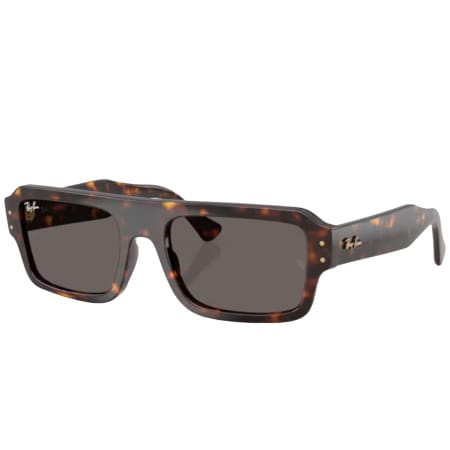 Product Image for Ray Ban 4454 Lukas Sunglasses Brown