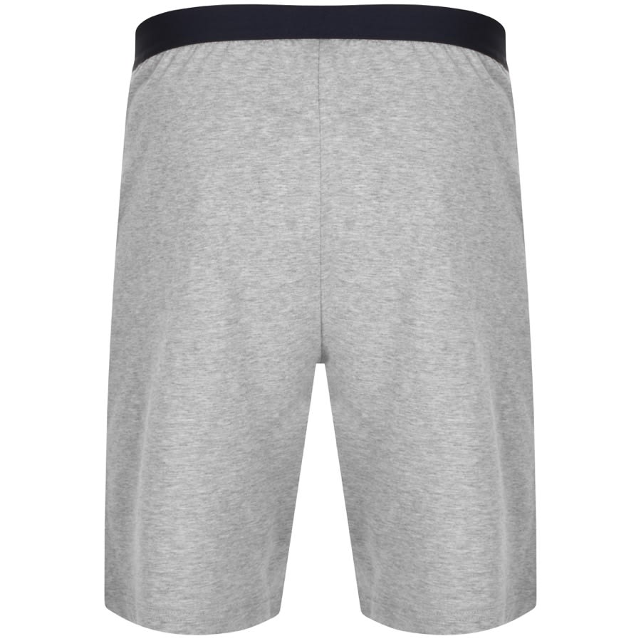 Image number 2 for Tommy Hilfiger Shorts Grey