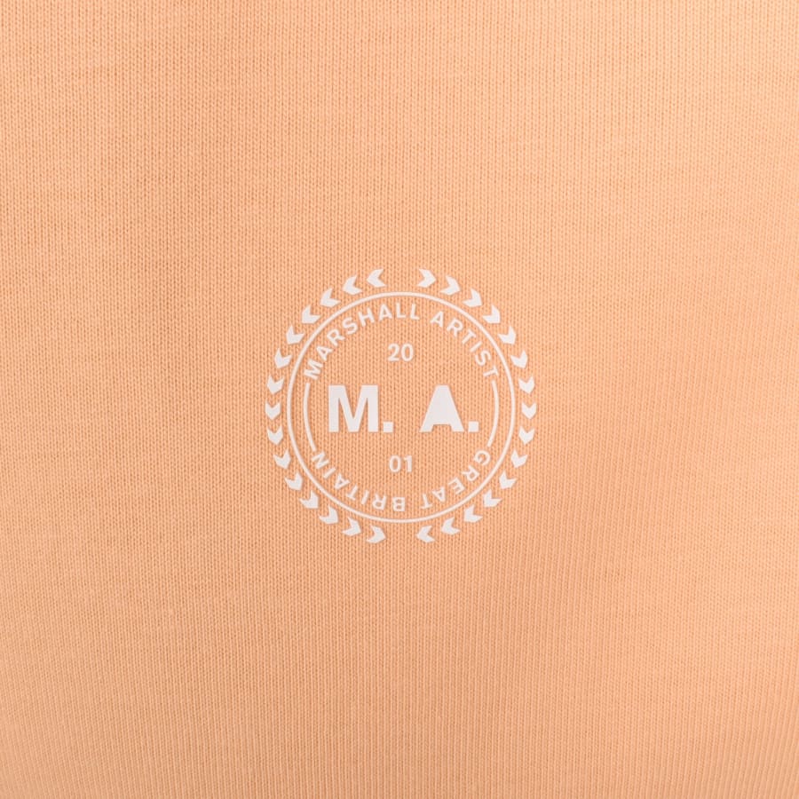 Image number 3 for Marshall Artist Delta T Shirt Peach
