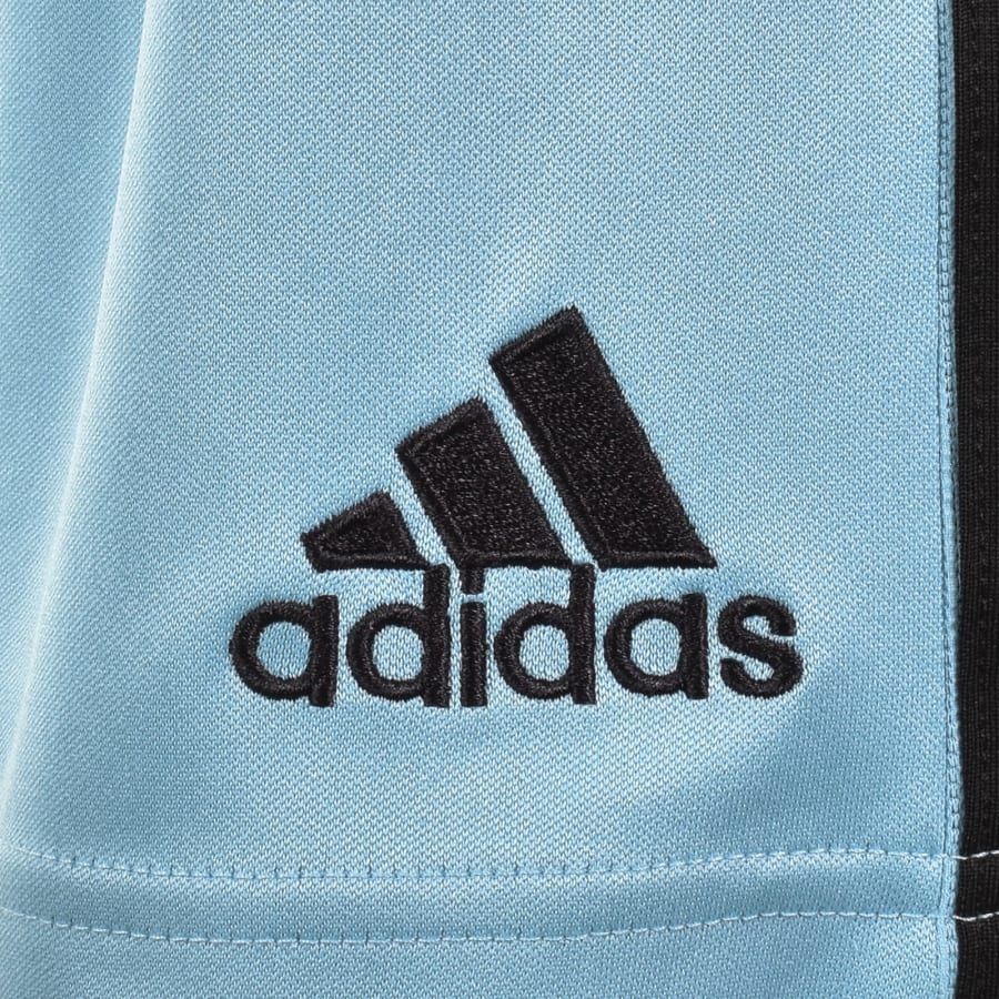 Image number 3 for adidas Originals Teamgeist Shorts In Blue