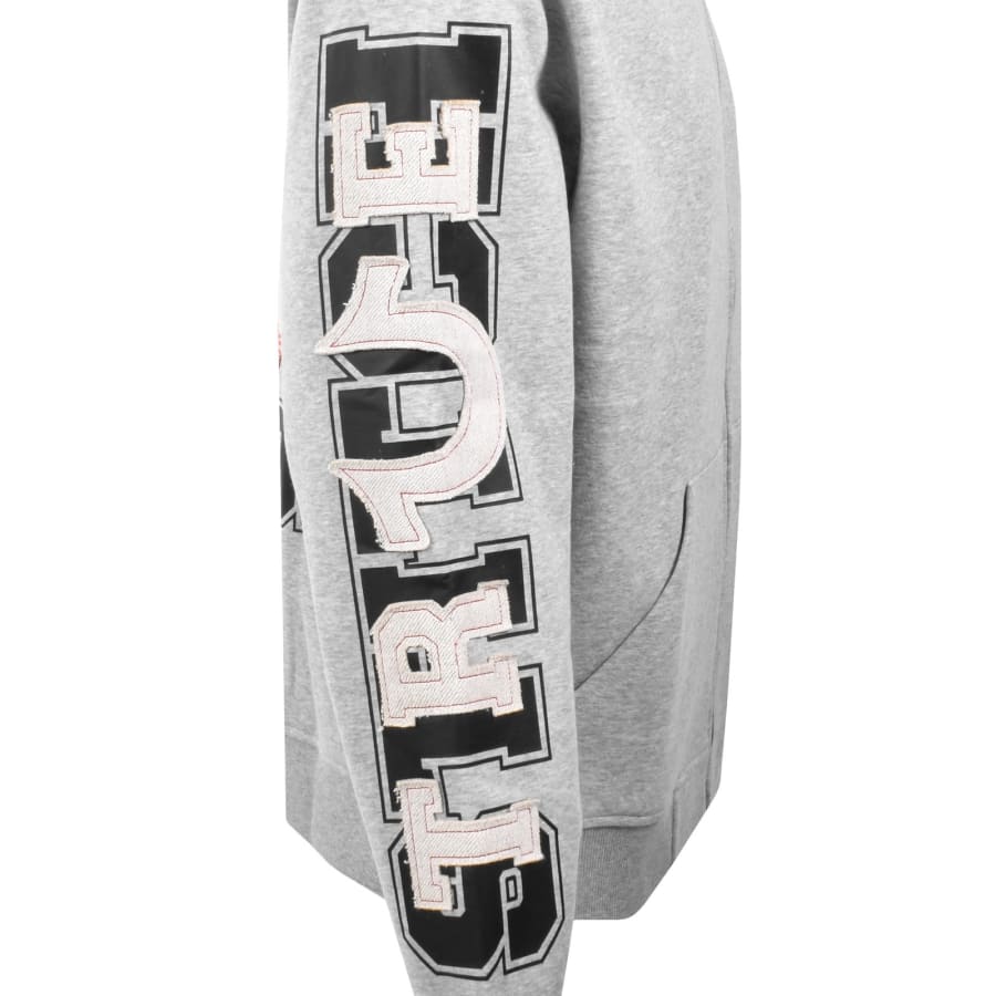 Image number 3 for True Religion Applique Full Zip Hoodie Grey