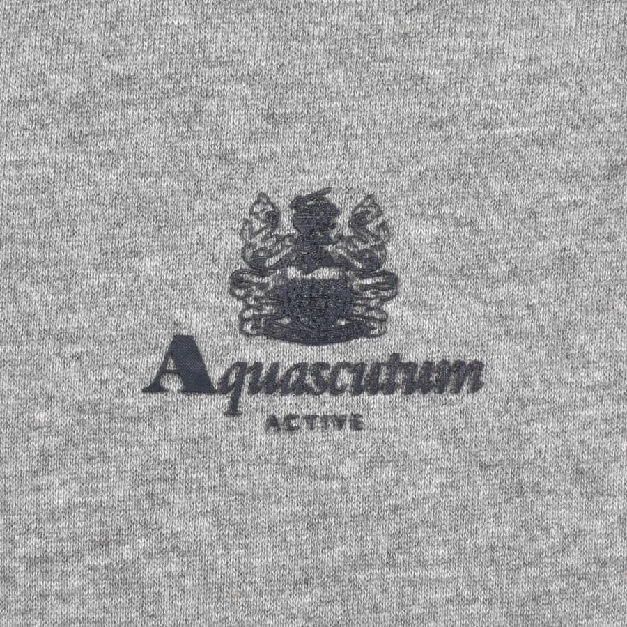 Image number 3 for Aquascutum Active Quarter Zip Sweatshirt Grey