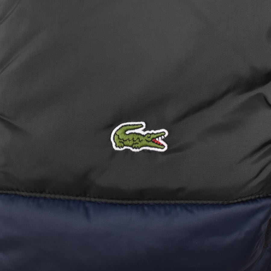 Image number 3 for Lacoste Hooded Logo Gilet Navy
