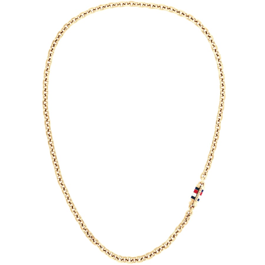 Image number 1 for Tommy Hilfiger Bruce Necklace Gold