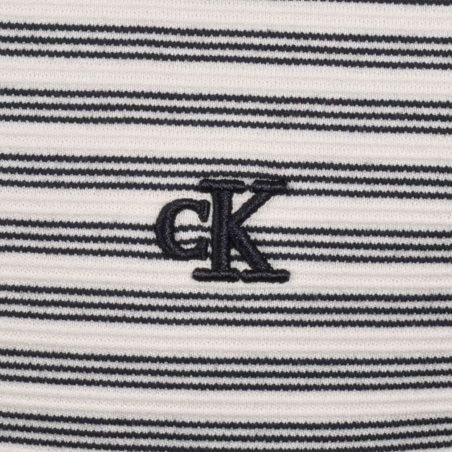 Image number 3 for Calvin Klein Striped Ottomen T Shirt Off White