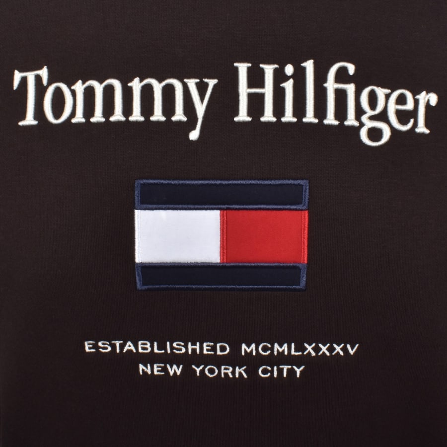 Image number 3 for Tommy Hilfiger Embroidered Flag Hoodie Brown