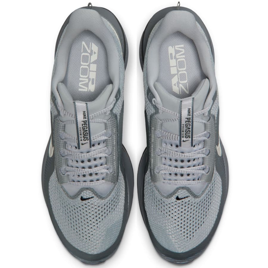 Image number 3 for Nike Air Pegasus Premium Trainers Grey