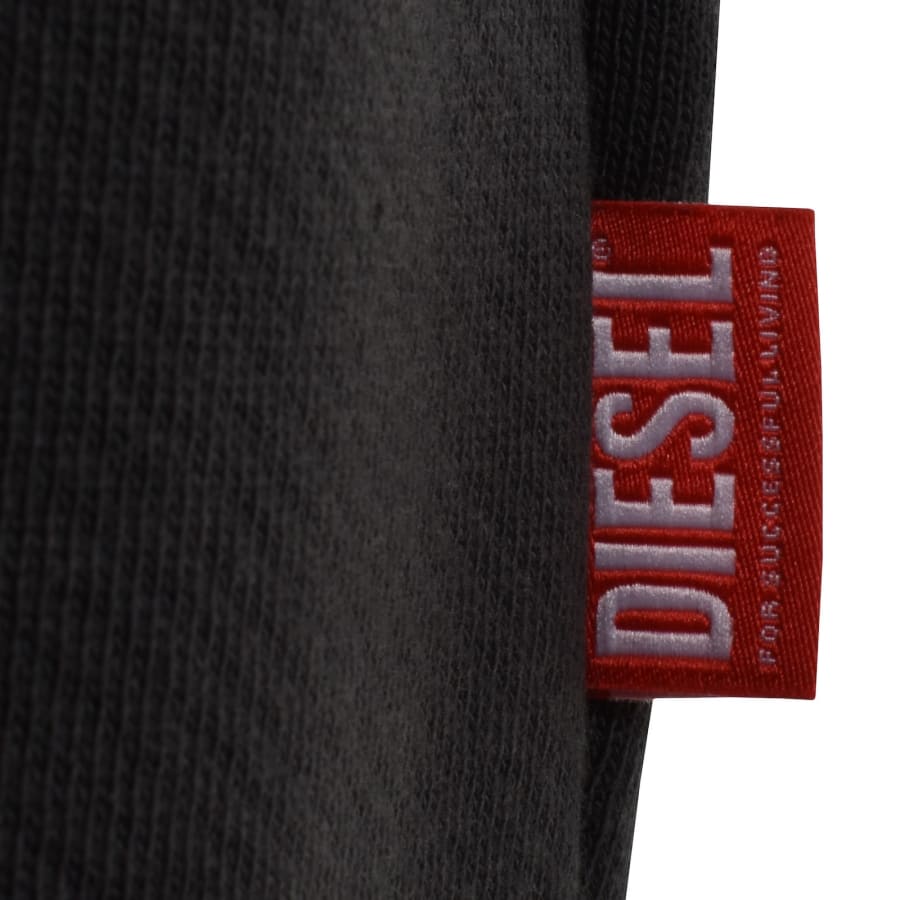 Image number 4 for Diesel S Norman Hoodie Grey