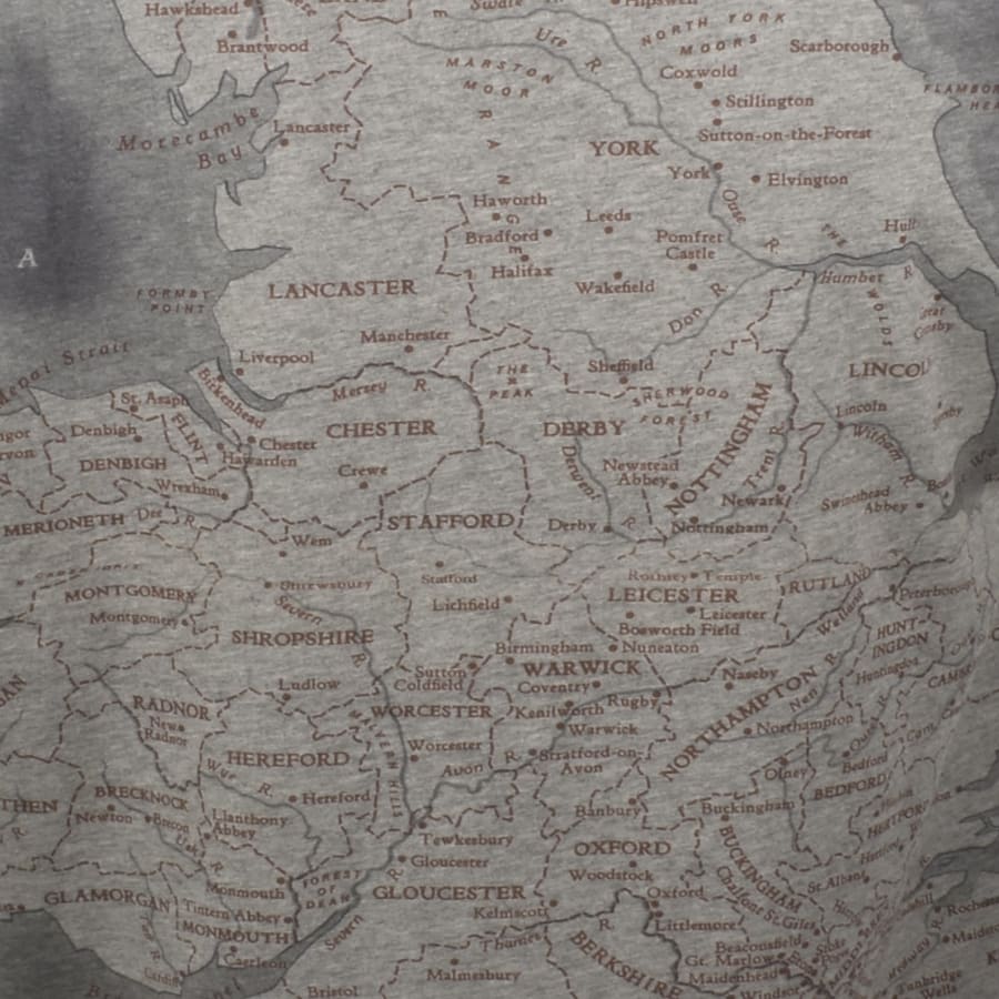 Image number 4 for Vivienne Westwood Horses T Shirt Grey