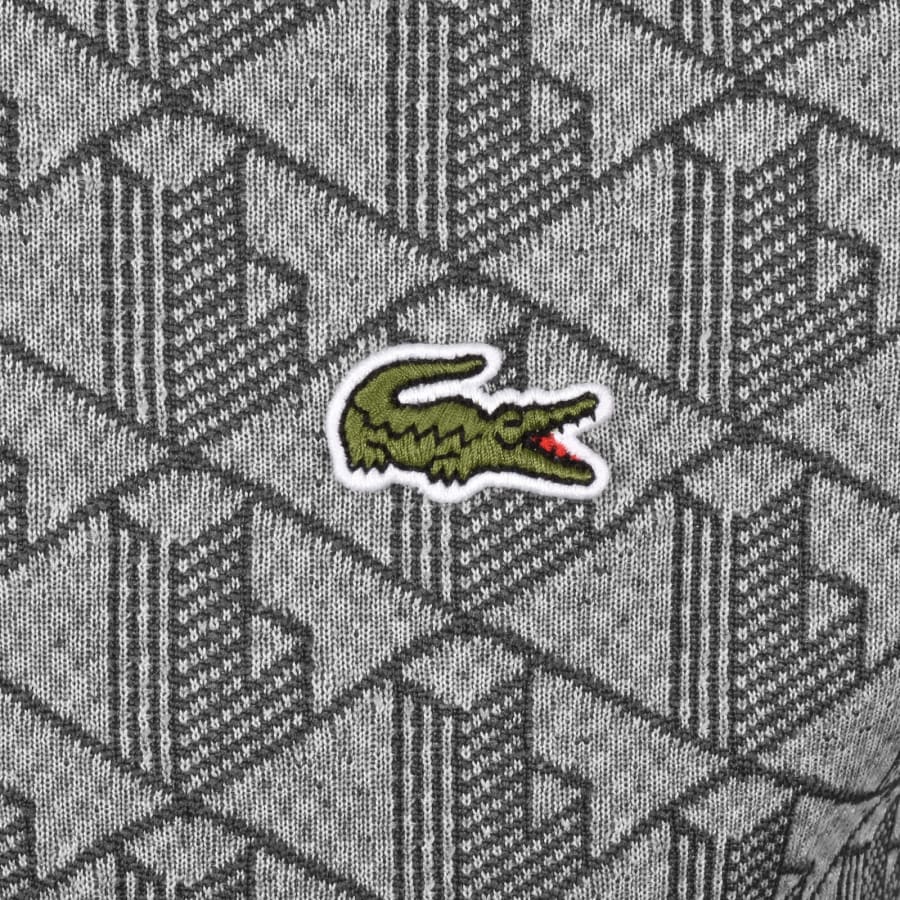 Image number 3 for Lacoste Logo T Shirt Grey