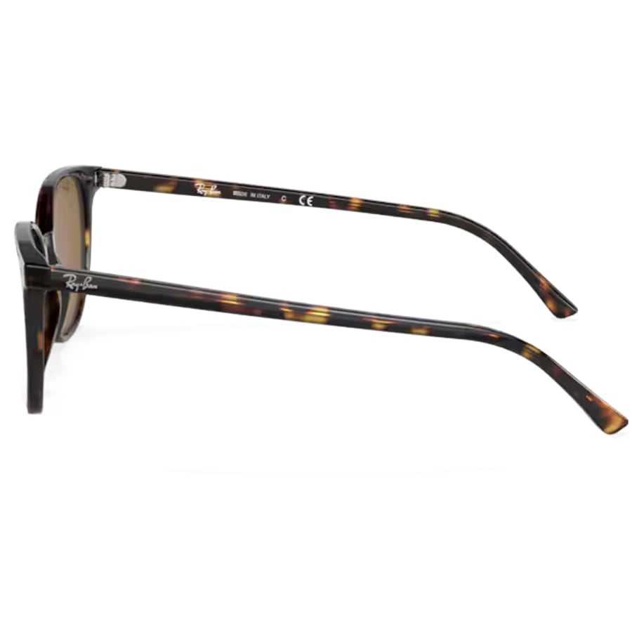 Image number 2 for Ray Ban 2197 Elliot Sunglasses Brown