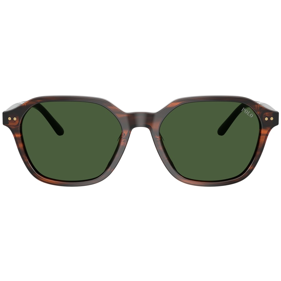 Image number 2 for Ralph Lauren 0PH4234U Sunglasses Green