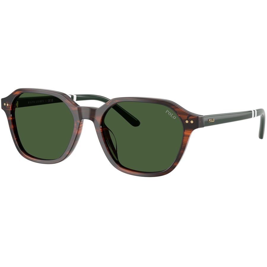 Image number 1 for Ralph Lauren 0PH4234U Sunglasses Green
