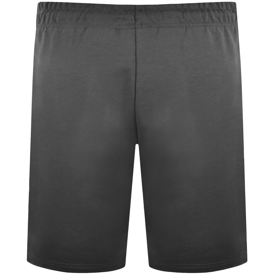 Image number 2 for The North Face Logo Shorts Grey