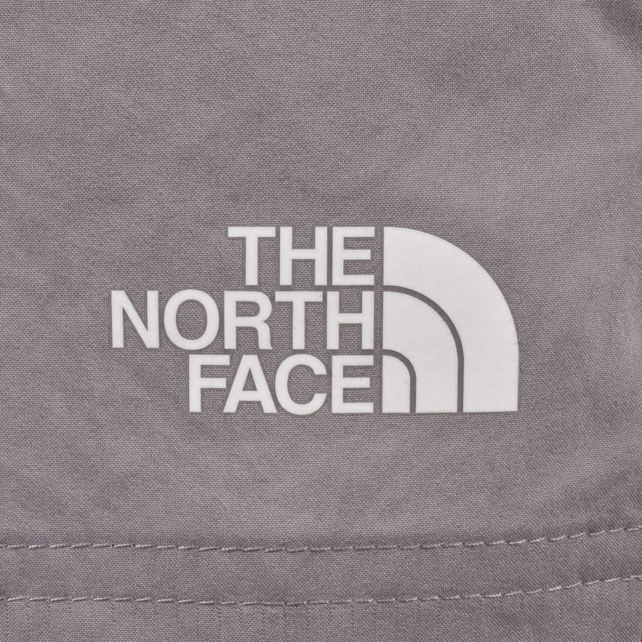 Image number 4 for The North Face 24/7 Shorts Lilac