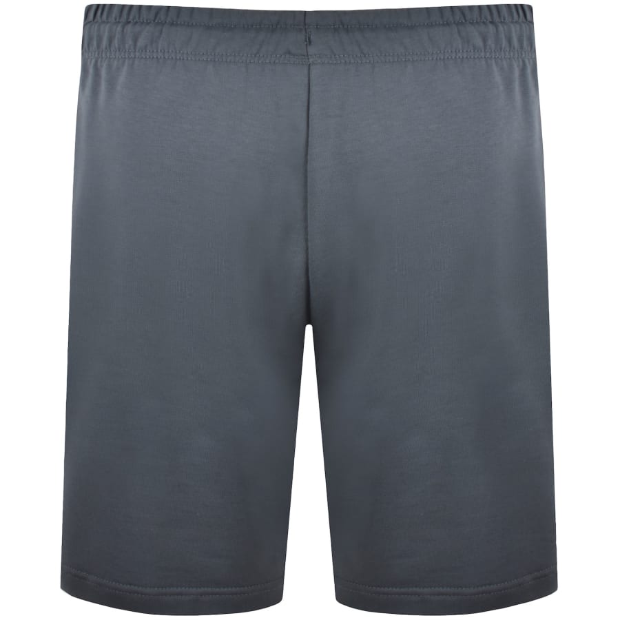 Image number 2 for The North Face Essential Light Shorts Blue