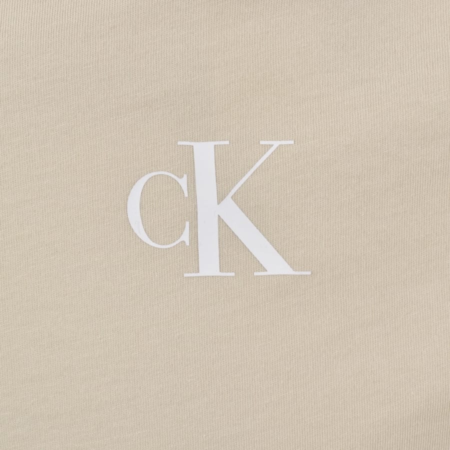 Image number 4 for Calvin Klein Jeans Monologo T Shirt Beige