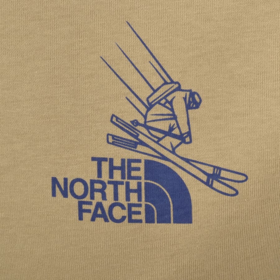 Image number 4 for The North Face Mountain Celebration T Shirt Beige