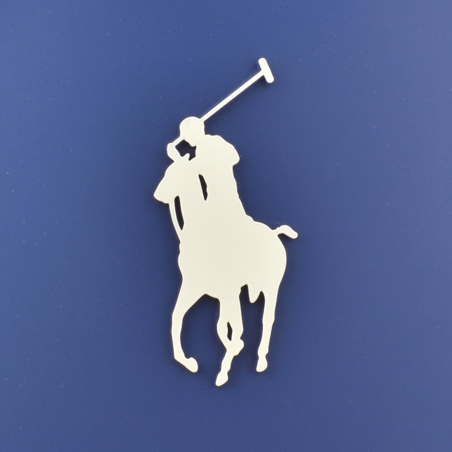 Image number 4 for Ralph Lauren Logo Sliders Blue