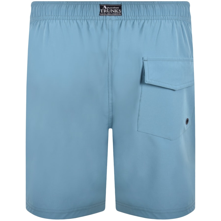 Image number 2 for Aquascutum Beach Shorts Blue