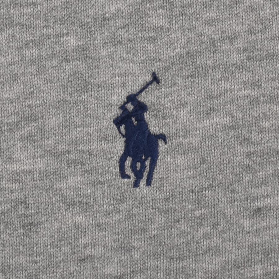 Image number 3 for Ralph Lauren Pullover Hoodie Grey
